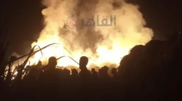 بـ4 سيارات إطفاء.. السيطرة على حريق عصارة عسل أسود في قنا