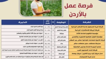 بمرتبات تصل إلى 500 دينار شهريًا: وزير العمل يعلن عن 45 فرصة عمل جديدة للمصريين في الأردن.