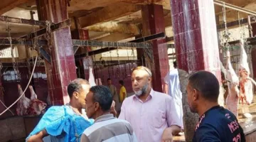 بمناسبة اقتراب عيد الأضحى.. تجهيز 13 مجزرًا لدبح الأضاحي بأسوان