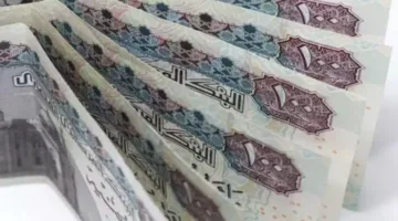 بنك الإسكندرية يخفض الفائدة على شهادات «أليكس ستار بلس» إلى 18%