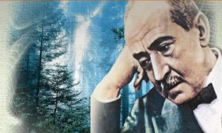 بيت الشعر يحيي ذكرى تنصيب "شوقي" أميرا للشعراء بيت الشعر يحيي ذكرى تنصيب "شوقي" أميرا للشعراء