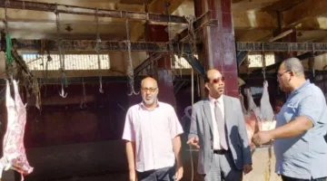 بيطري أسوان تستعد لعيد بتجهيز 13 مجزرًا لاستقبال الأضاحي