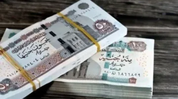 تاريخ صرف المعاشات لشهر يونيو 2025: متى ستبدأ الزيادة الجديدة؟