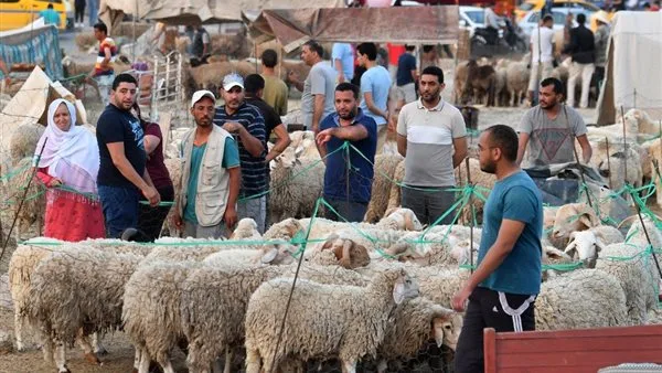 تاريخ وقفة عرفات وعيد الأضحى 2025 في تونس.. أجمل بطاقات التهنئة تاريخ وقفة عرفات وعيد الأضحى 2025 في تونس.. أجمل بطاقات التهنئة