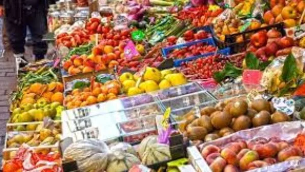 تبدأ منتصف يونيو.. شعبة الخضر والفاكهة يكشف موعد هبوط أسعار فاكهة الصيف والخضر تبدأ منتصف يونيو.. شعبة الخضر والفاكهة يكشف موعد هبوط أسعار فاكهة الصيف والخضر