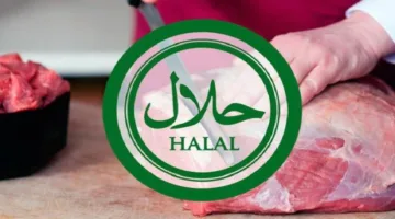 تتارستان بوابة روسيا لتعزيز التبادل التجاري الحلال مع المغرب