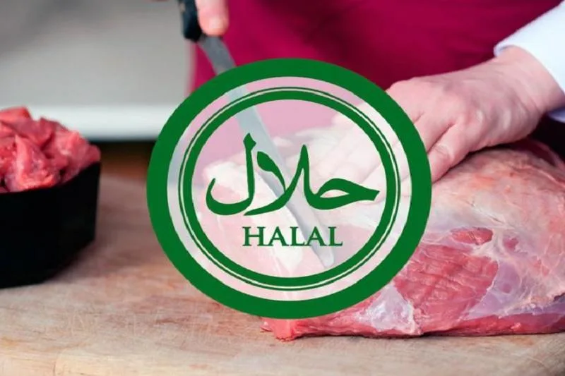 تتارستان بوابة روسيا لتعزيز التبادل التجاري الحلال مع المغرب تتارستان بوابة روسيا لتعزيز التبادل التجاري الحلال مع المغرب