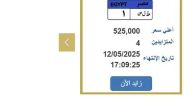 تتجاوز نصف مليون جنيه.. “الإدارة العامة للمرور” تعرض لوحة سيارة فريدة للبيع