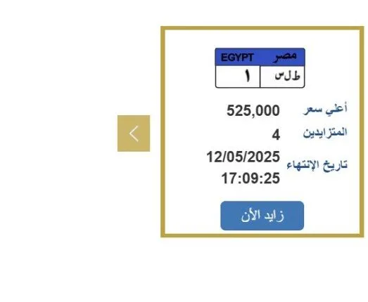 تتجاوز نصف مليون جنيه.. “الإدارة العامة للمرور” تعرض لوحة سيارة فريدة للبيع تتجاوز نصف مليون جنيه.. “الإدارة العامة للمرور” تعرض لوحة سيارة فريدة للبيع