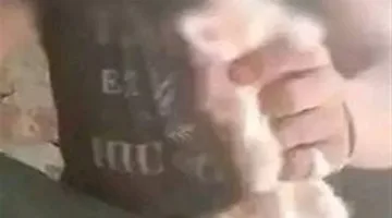 تجدد حبس المتهم بالتعدي على قطة بالأقصر 15 يومًا على ذمة التحقيقات