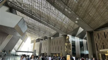 اليابان وبلجيكا: تعاون مثمر في المتحف المصري الكبير