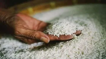 أسعار الأرز والدقيق بالغربية اليوم السبت 10 مايو 2025
