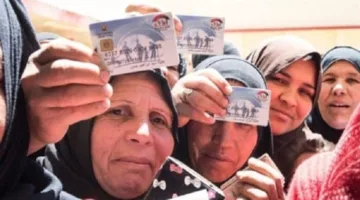 كيفية الاستفسار عن معاش تكافل وكرامة 2025: من هم الفئات المؤهلة؟