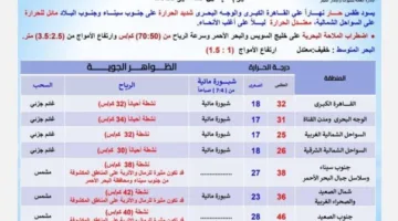 تحذير من الأرصاد: رياح محملة بالرمال تؤثر على تلك المناطق اليوم الإثنين 19 مايو 2025
