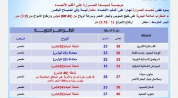تحذير من الأرصاد: عواصف رملية تهدد هذه المناطق اليوم السبت 24 مايو 2025