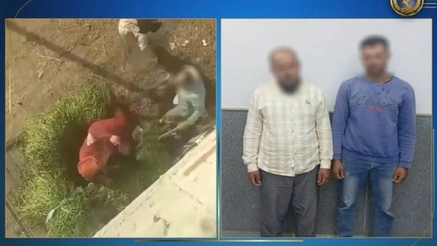 تحقيق في تفاصيل انتشار فيديو يظهر اعتداء شخصين على سيدة بالضرب في الدقهلية تحقيق في تفاصيل انتشار فيديو يظهر اعتداء شخصين على سيدة بالضرب في الدقهلية