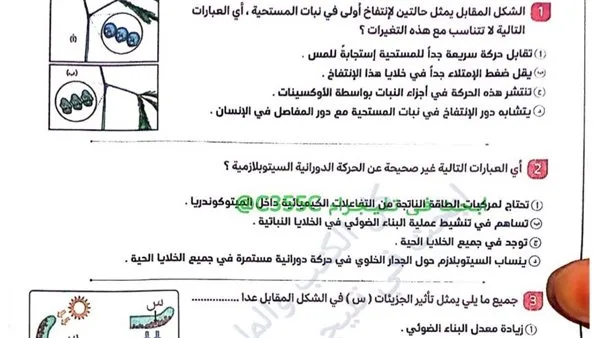 تحميل مذكرة الأحياء لليلة مراجعة امتحانات الثانوية العامة 2025 تحميل مذكرة الأحياء لليلة مراجعة امتحانات الثانوية العامة 2025