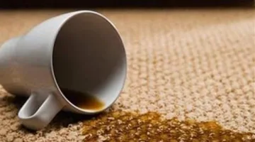تخلصي من بقع الشاي والقهوة بسهولة.. خطوات فعالة وسريعة