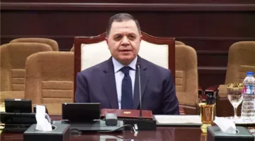 ترحيل الأتراك والسودانيين خارج الوطن لأسباب تتعلق بالمصلحة العامة