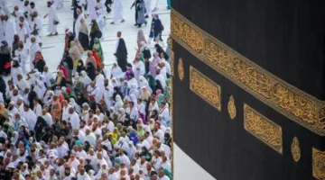 موسم الحج 2025: تعاون متميز بين الغرفة والشركات ووزارة السياحة.