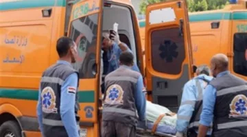 تسمم 5 أفراد من أسرة واحدة بعد تناول حواوشي في القاهرة