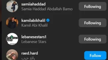 تصرف غير متوقع من كميل أبي خليل بعد انفصاله عن ماريتا الحلاني