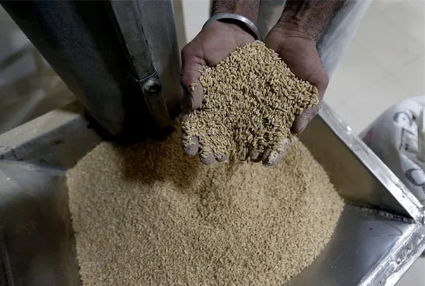 أسيوط تقوم بحملات تفتيشية شديدة: قمح ملوث ولحوم تالفة وسمن م adulterated.