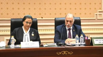 تضامن النواب توافق على الموازنة العامة للمجلس القومي للمرأة