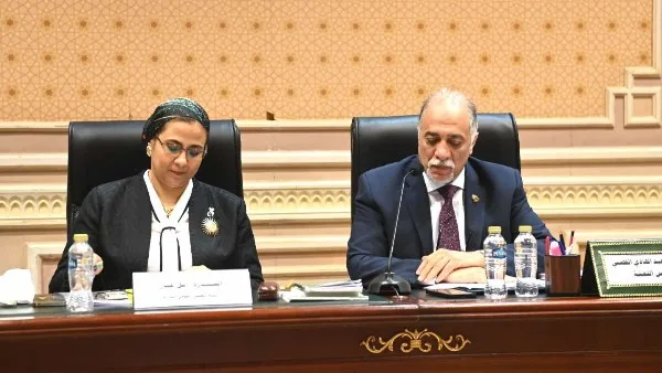 تضامن النواب توافق على الموازنة العامة للمجلس القومي للمرأة تضامن النواب توافق على الموازنة العامة للمجلس القومي للمرأة