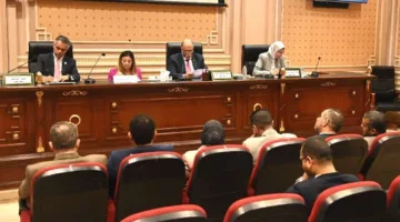 “تضامن النواب” توافق على موازنة المجلس القومي لذوي الإعاقة