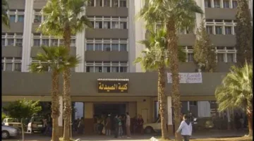 تعديلات قانون ممارسة مهنة الصيدلة لعام 2025: فصل التدريب عن التعليم ومكافأة شهرية قدرها 2500 جنيه