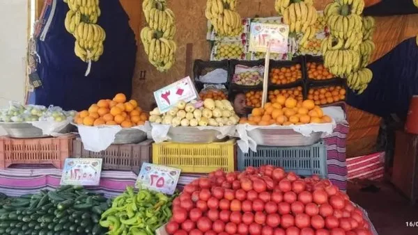 تعرف على أسعار الخضروات والفاكهة بأسواق الوادي الجديد تعرف على أسعار الخضروات والفاكهة بأسواق الوادي الجديد