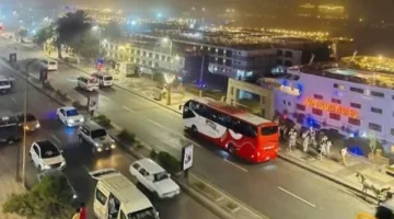 تعرف على أسعار الخضروات والفاكهة فى أسواق أسوان