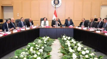 تعيين اللجنة الوزارية المعنية بالتنمية الصناعية لدراسة طلبات إنشاء المناطق الحرة الخاصة.