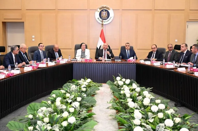 تعيين اللجنة الوزارية للتنمية الصناعية لدراسة طلبات إنشاء المناطق الحرة الخاصة.