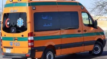 تفاصيل مقتل عجوز على يد حفيدتها داخل منزلهما بالشرقية