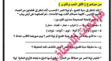 تقرير عن مواد مراجعة ليلة امتحان اللغة العربية للصف الثالث الإعدادي