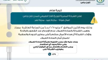 تقوم تاون جاس بأعمال صيانة في مدينة نصر.. وتوجه رسالة للمواطنين: لا داعي للقلق بشأن رائحة الغاز.