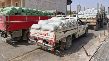 تموين الأقصر: توريد 3 آلاف طن قمح للشون والصوامع
