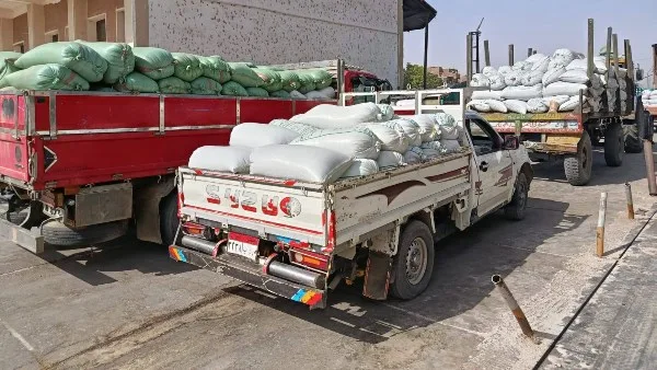 تموين الأقصر: توريد 3 آلاف طن قمح للشون والصوامع تموين الأقصر: توريد 3 آلاف طن قمح للشون والصوامع