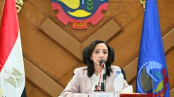 تنفيذي البحيرة: يوافق على اعتماد 27 خريطة مخططات تفصيلية بنطاق 9 مراكز