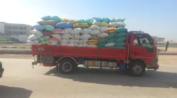 “الزراعة”: حصاد 2.4 مليون فدان من القمح وتوريد أكثر من 2.5 مليون طن