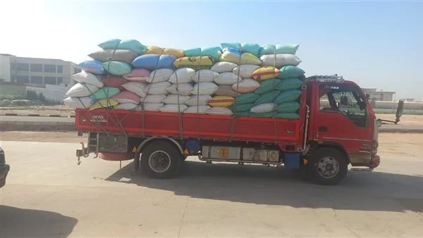 “الزراعة”: حصاد 2.4 مليون فدان من القمح وتوريد أكثر من 2.5 مليون طن