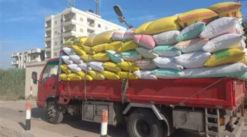 توريد 96 ألف طن قمح لشون وصوامع البحيرة