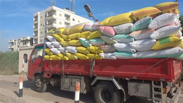 توريد 96 ألف طن قمح لشون وصوامع البحيرة توريد 96 ألف طن قمح لشون وصوامع البحيرة