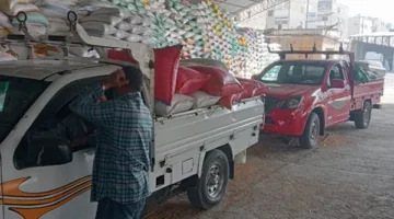 توريد أكثر من 74 ألف طن قمح لشون وصوامع البحيرة