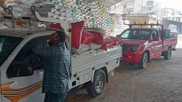 توريد أكثر من 74 ألف طن قمح لشون وصوامع البحيرة توريد أكثر من 74 ألف طن قمح لشون وصوامع البحيرة