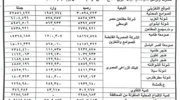 توريد محصول القمح يتخطى حاجز 100 ألف طن بالفيوم 