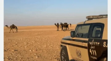 ضبط مواطن بسبب انتهاك قواعد الرعي في محمية الإمام عبدالعزيز بن محمد الملكية