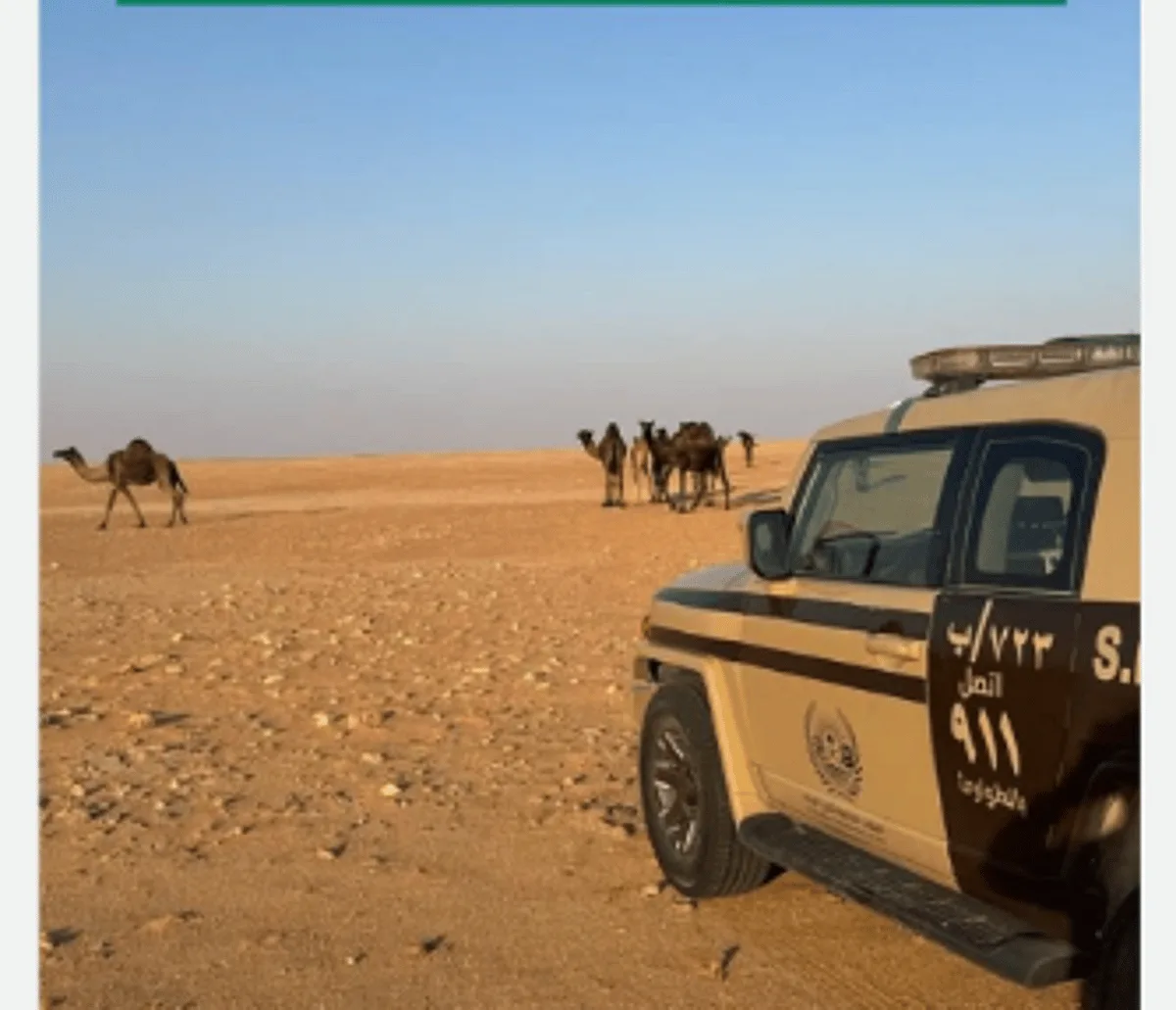 ضبط مواطن بسبب انتهاك قواعد الرعي في محمية الإمام عبدالعزيز بن محمد الملكية ضبط مواطن بسبب انتهاك قواعد الرعي في محمية الإمام عبدالعزيز بن محمد الملكية